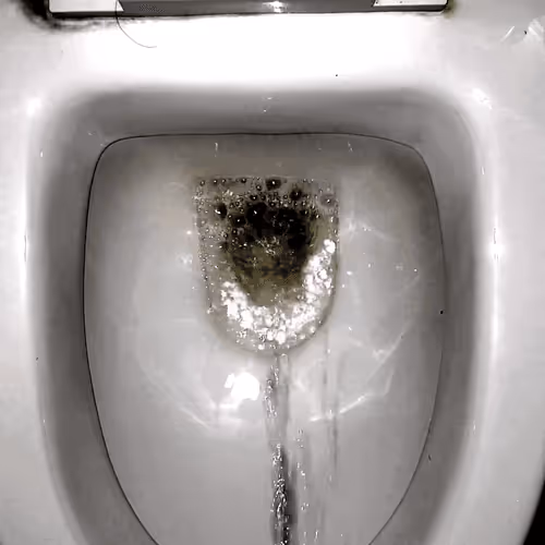 12660136923828748263426703316480839463053827608546839420335323789815900536833