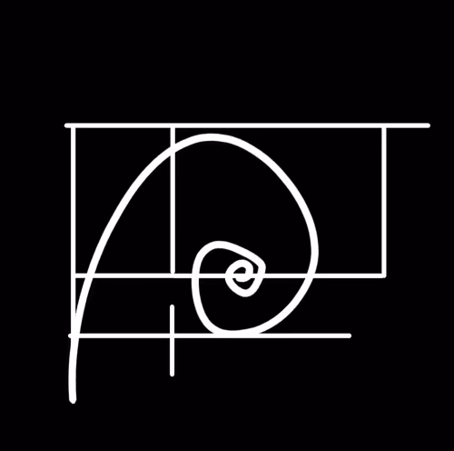 Item #97423702641263517005524891177075579168285552449071544586251049301923395010561 Media