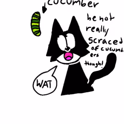 cucumber 