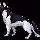 57803851380201452392201340356620982829634760841855160190158575045645363576833