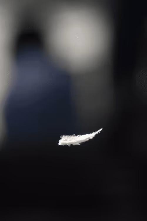 Item #13606181839721576894155883308236999132816604807813273145513526394547223920641 Media