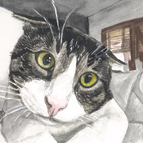 Cat Illustration #5
