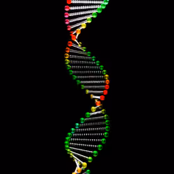 Creativity - Its in our DNA