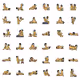 37657302728822678424925075128762343263352849272519171963135915975835660582913