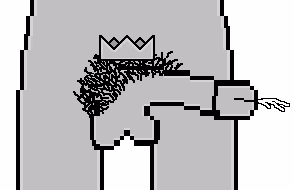 8556061733850570621173106315472467260668083661071942411625168802075507687425