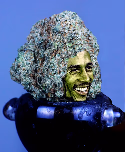 Item #31186953846776644916654461836537312819780745522330041199381679829402985168897 Media