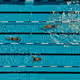 76201227697970477458616806869318805503529406320704102676281472935020566937601