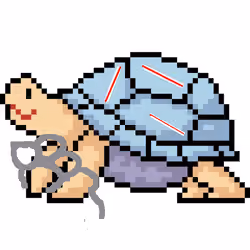 Tropical Tortoise #13