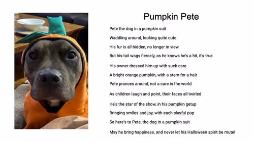 Item #20038973743233294056584381137576175223397750640616128058375055333363376193537 Media