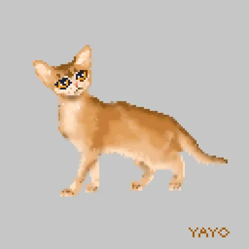 Item #13080766421190555612307919645379576803990371461875354718024555267361001701381 Media