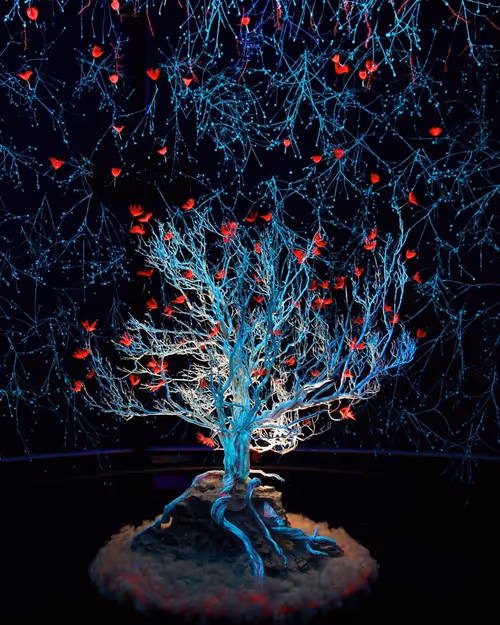 Item #88627430874261044386564198870755246849770951294062585255572361161998755430401 Media