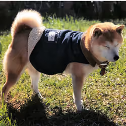 Bored Shibas Club #3