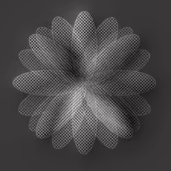Line Warp Art #12