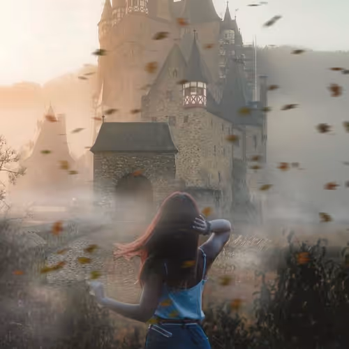 owlceAn Collection - old V2