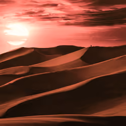 Binary Sunset