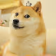 84041232484985169207681437094878115985897263133248972296246189919512943394817