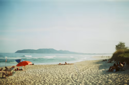 Item #87092990260447267838744578330374476785020899117585411719574779654716751085569 Media