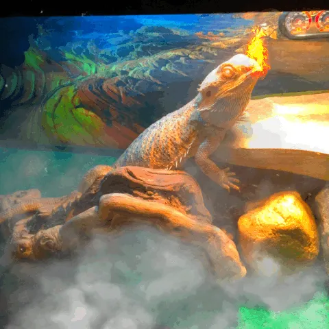 Item #60725800993429442790109822101510222634365938038932659137570571535410857508865 Media