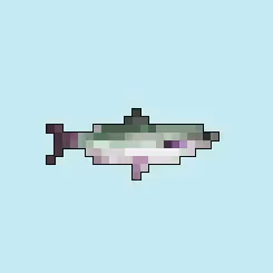 Item #101906917376117788515523048071925548956583486538808022607544228141734312280065 Media