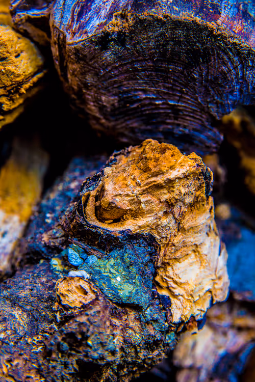 Item #40632996133042654692589824603650500763499961417471040253403769856765464674324 Media