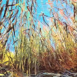 Bamboo Breeze