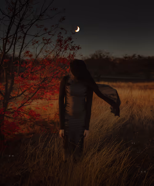 Item #32827042511948826872324468715396382654491318328584451674488605450213437472769 Media