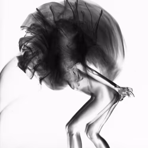 17569297876591661789668583751103243032142567618243006355833392444433783324697