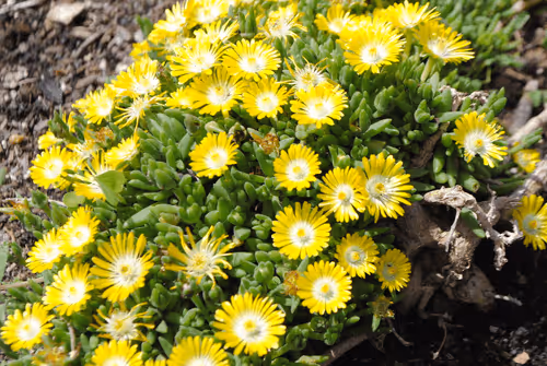 Item #40090172695085413256965535555586358742660933280315103792741764892162370043905 Media