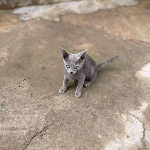 Untitled Collection #79669027