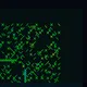 98840047173836739000021207408453052359902063003679042609545966347805419110401