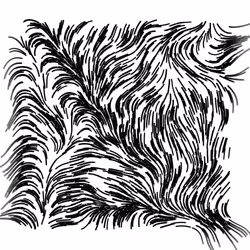 25795200163800101245106772985367877532970984672044752901021566148853312258049