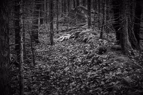 Item #81425468840217938130335513187731669853655760223415782332089084407456561364993 Media