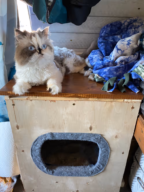 Item #88063557034118437660925886446302507819426649905583175627315428981699118104577 Media