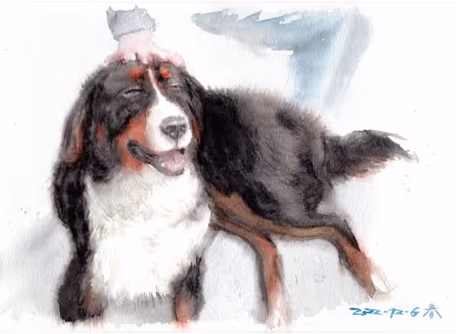 Item #106946685177321422894597018356236354695280459697270820236302694155280086728705 Media