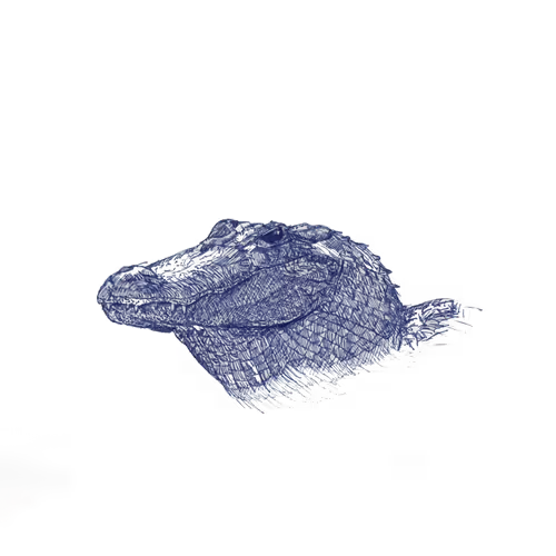 JamesCarter_Art Collection