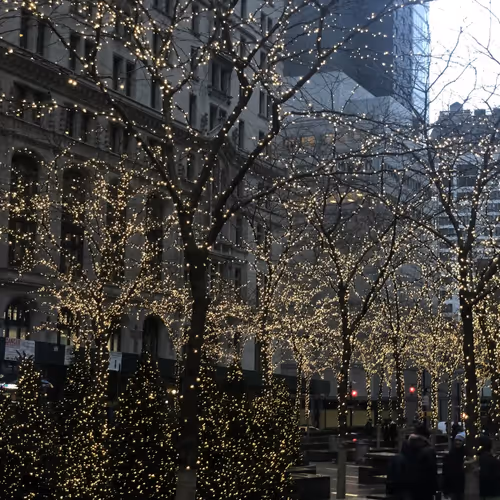 Untitled Collection #32452083