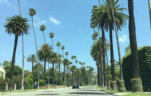 Item #59132355562186324700850821844442436394047262304885251221794294024900152655873 Media