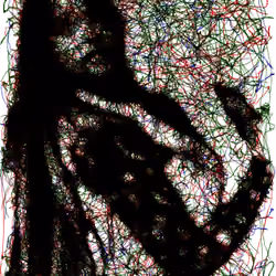 The dancing girl