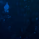 62425552765225739240625804616244649779430717386855610275709069586614664036353
