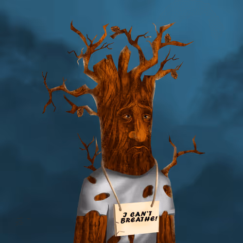 Item #38969088093190670381878411557565580659447067316565611691845276215051697520641 Media