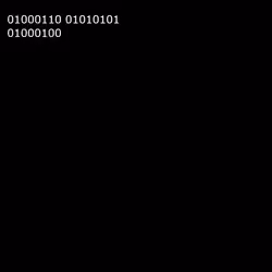 OnChainBinary #5
