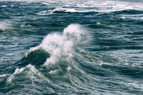 Item #7934769816022171800052371447343848522211670012254116807606386221630506401793 Media