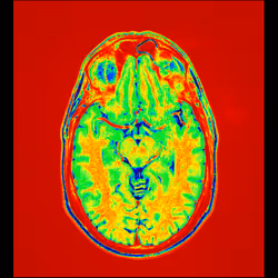 64162533542198579898252916190583583845604629893829087458582976372514133901313