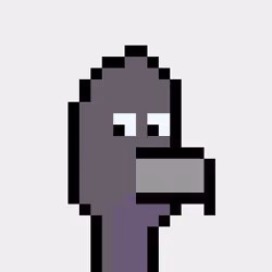 BitBird 646