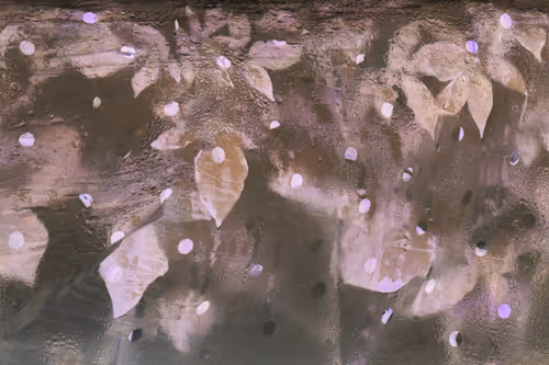 Item #40278163781146387807919824223492945877750948775305722317404597018488444289025 Media