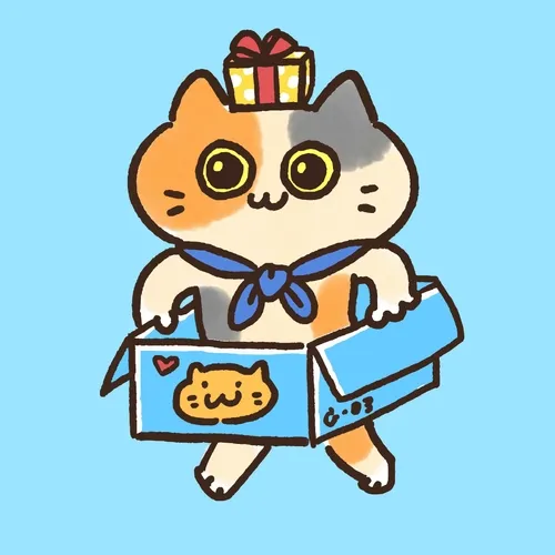 Running Box Cat