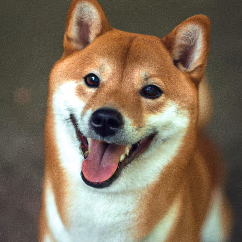 Item #34470142884482375674331152583341387110725961593908059002011227513664036667393 Media