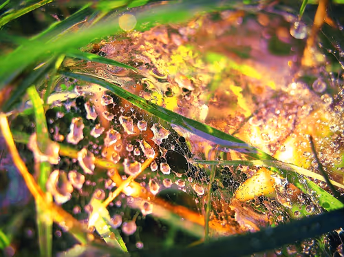 Item #41234467352345795987762093043461783770169044138766201577467704824245614804993 Media