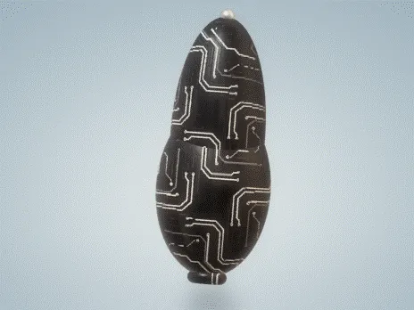 66729155209365040351828273902272966687059825926116287444529481136216043683841