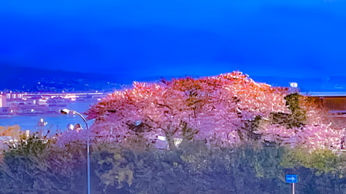 Item #26309083901545567454709889211670292098627789932924015051489478892105215508485 Media